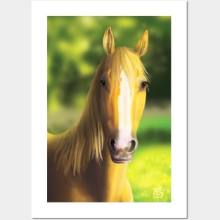 Palomino Gold Horse Head Posters and Art